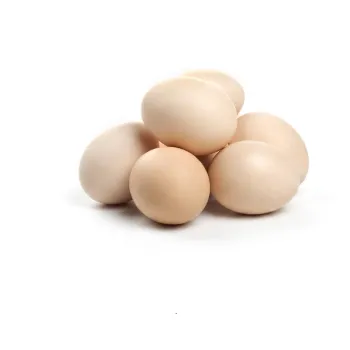 Country chicken egg
