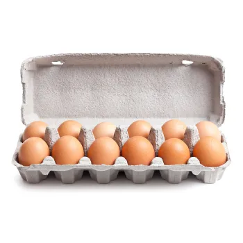 Brown Egg