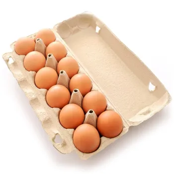 Brown Egg