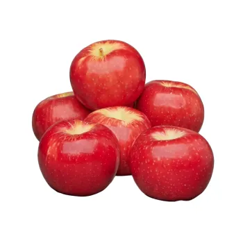 Apple 2