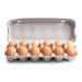 Brown Egg