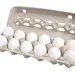 White egg