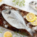 Dorade fish