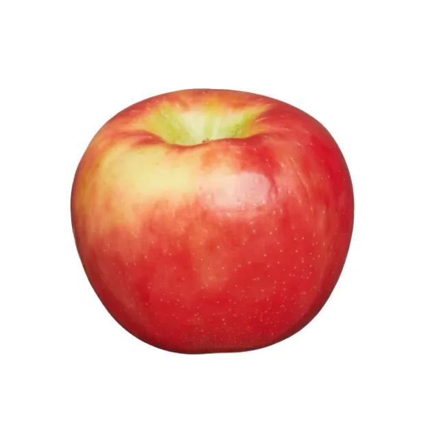 Apple Honeycrisp
